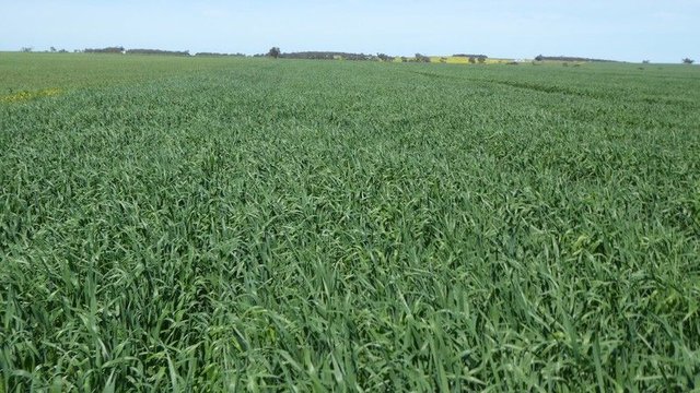 S606 Swedes Flat Road, SA 5270