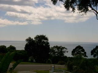 View (2005-06-28)