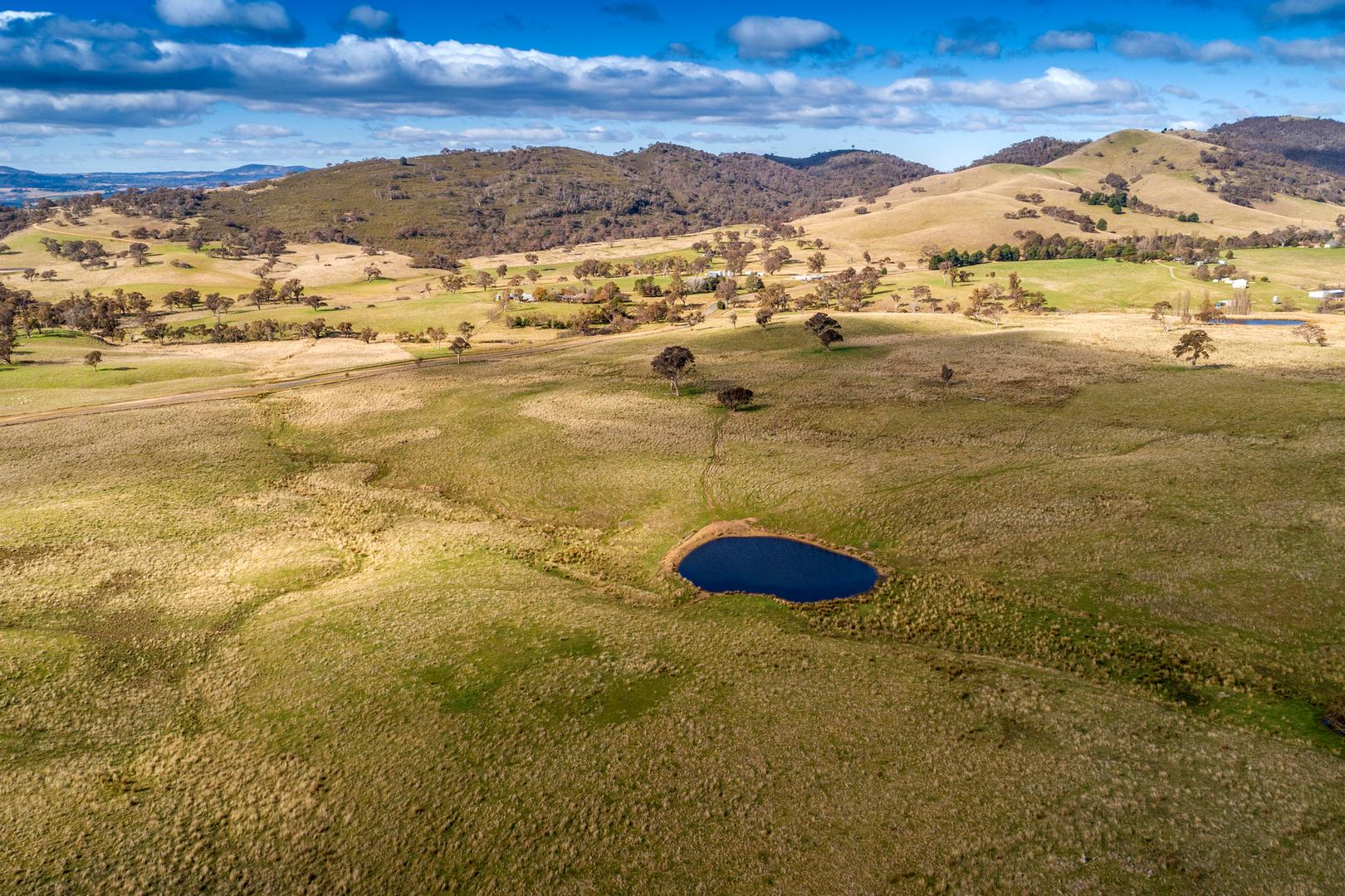 1663 Mountain Creek Road, Mullion NSW 2582 Allhomes