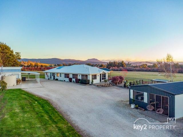 24 Allen Street, TAS 7303