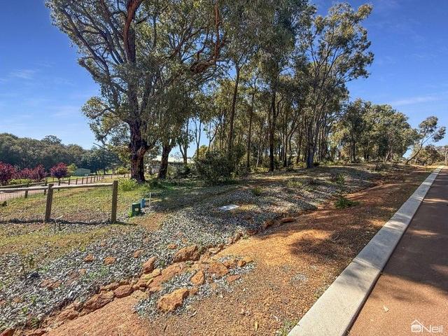 29 Grieve Way, WA 6112