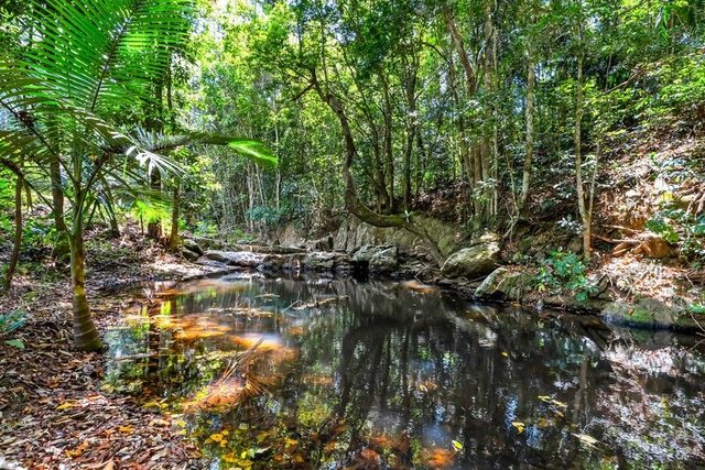 30 Jeffrey Road, QLD 4881