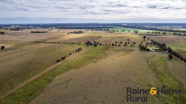 223 Ellis Road, NSW 2827
