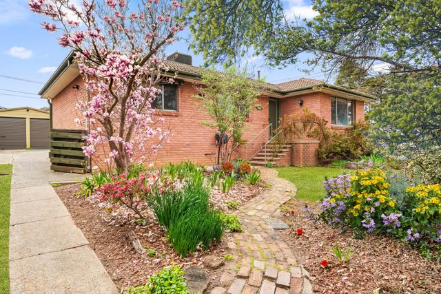 11 Curtain Place, ACT 2903