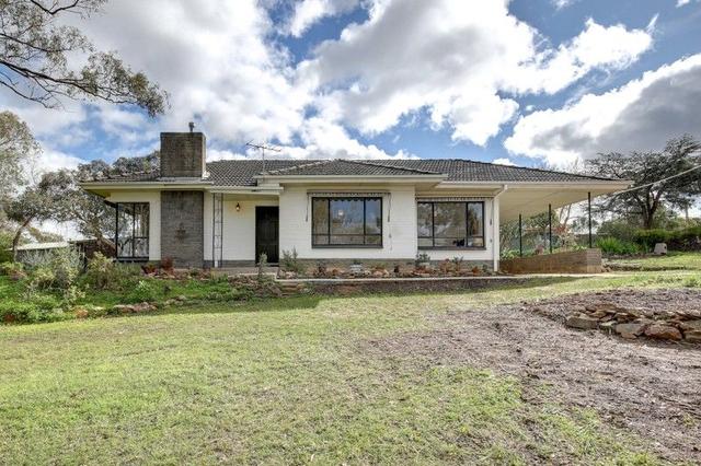 42 Gothic Road, SA 5050