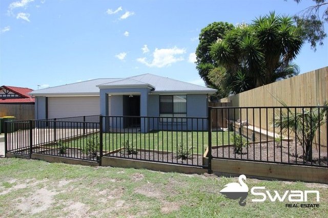 3 Shamrock Street, QLD 4132