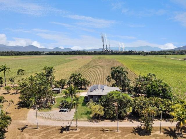 317 Danger Camp Road, QLD 4850