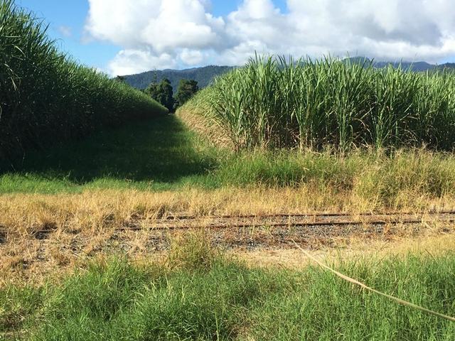 (no street name provided), QLD 4856