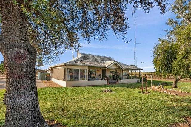 213 Old Sturt Highway, SA 5345