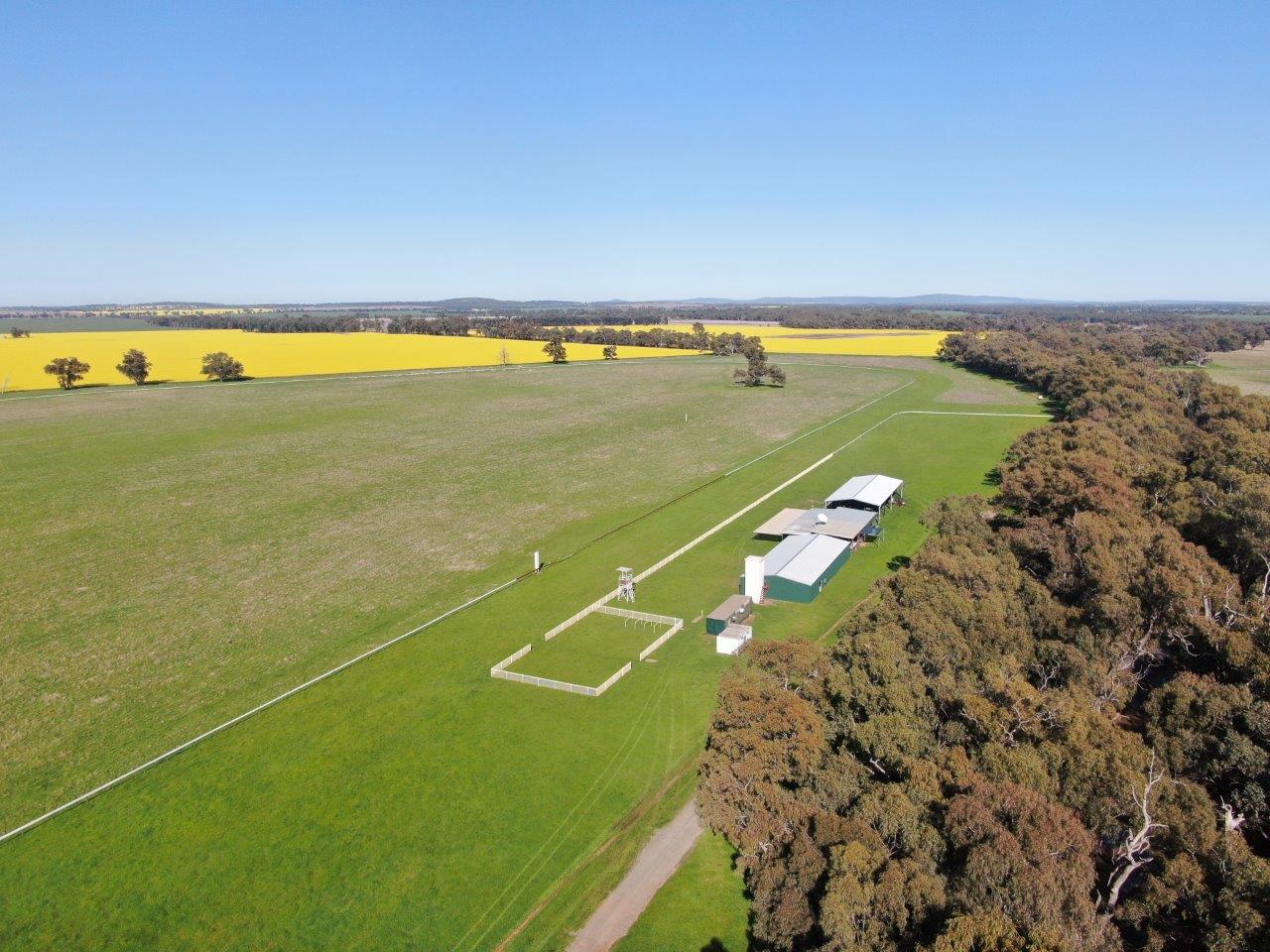 'Warri', 6611 Newell Highway, Ardlethan NSW 2665 Allhomes