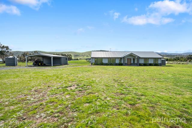 36 Rowe Street, TAS 7030