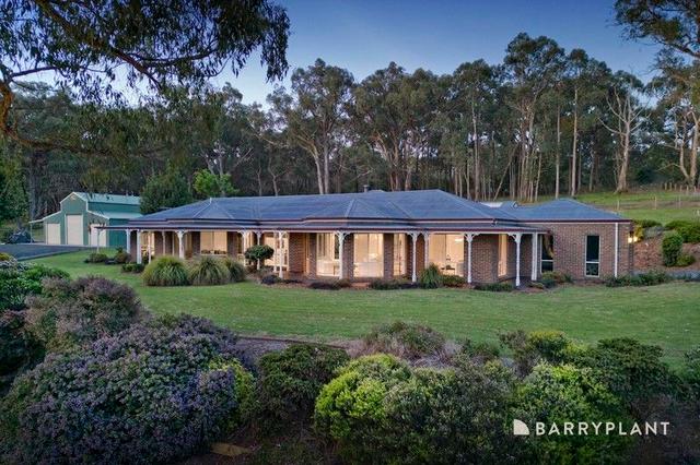 445 MacClesfield Road, VIC 3782