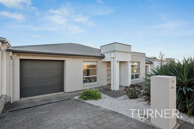 19 Ridgeway Avenue, SA 5085