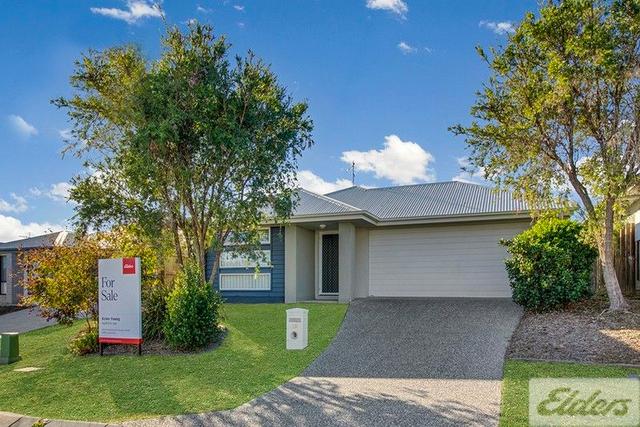19 Oystercatcher Road, QLD 4680
