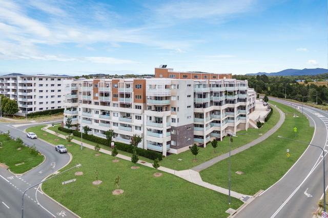 137/41 Philip Hodgins Street, ACT 2611