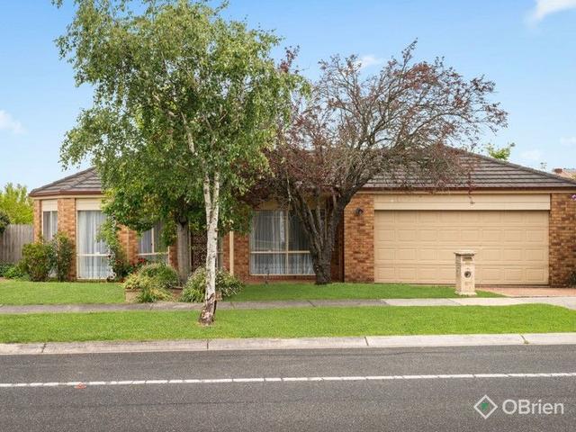 59 Melville Park Drive, VIC 3806