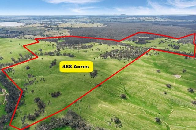 503 Mia Mia-Derrinal Road, VIC 3523