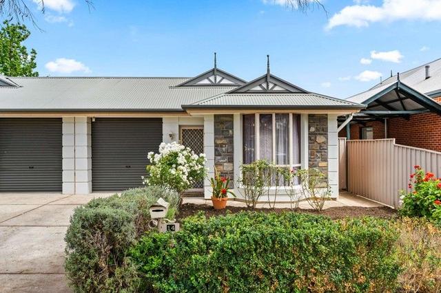 14 Windsor Road, SA 5064