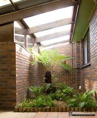 Fernery