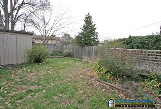 Backyard (2005-09-01)