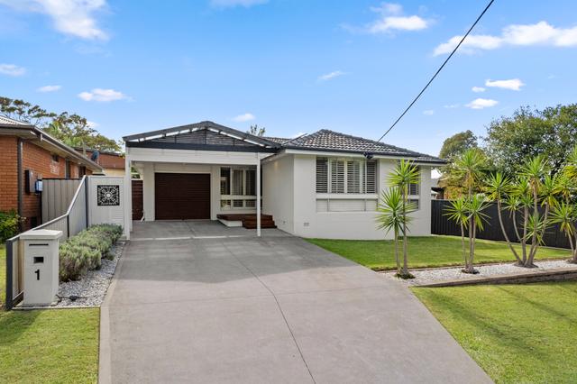 1 Minnamurra Road, NSW 2263