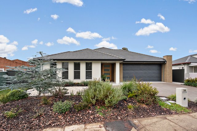 16 Angas Street, ACT 2602