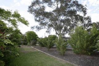 Front garden