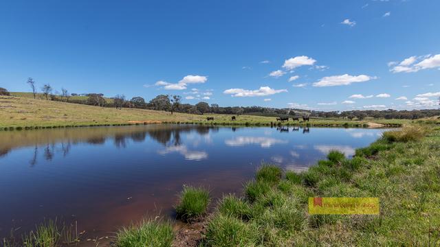 479 Wallawaugh Road, NSW 2850