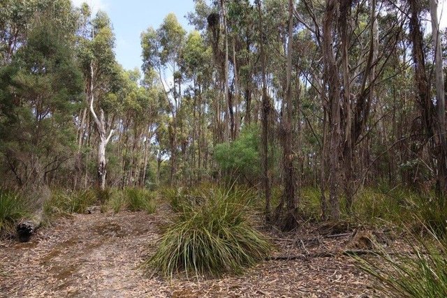 158 Blundstones Road, TAS 7255