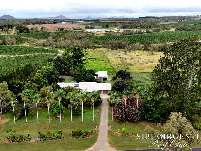 599 Springs Road, QLD 4880