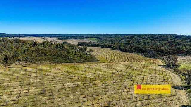 Lot 77/369 Montaza Road, NSW 2852