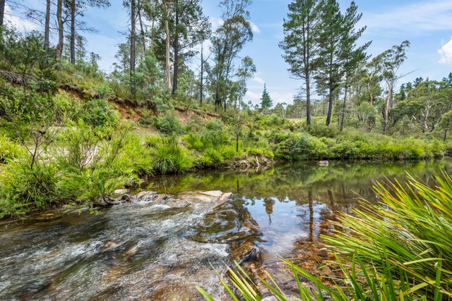 7288 Nerriga Road, NSW 2622