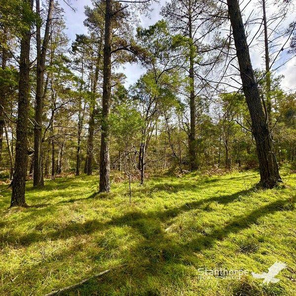 157/null Blackbutt Road, QLD 4380