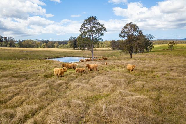 315 Warraba Road, NSW 2425