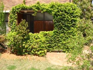 Front Entry (2007-10-31)