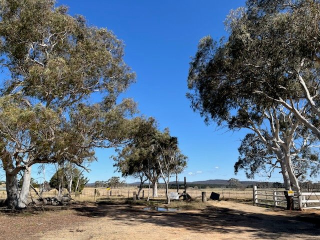 Lot 13 Mayfield Road, NSW 2580