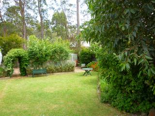 Backyard (2009-12-11)