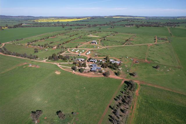 Upside Farm, 104 Flowerdale Road, NSW 2650