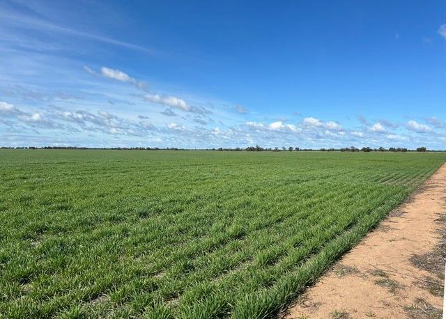 Barbers  Road, VIC 3527