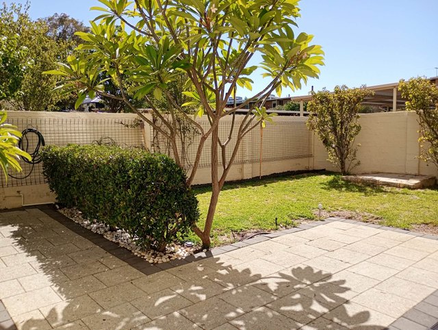 6/375 Stirling Highway, WA 6010