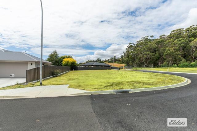 33 Jerling Street, TAS 7315