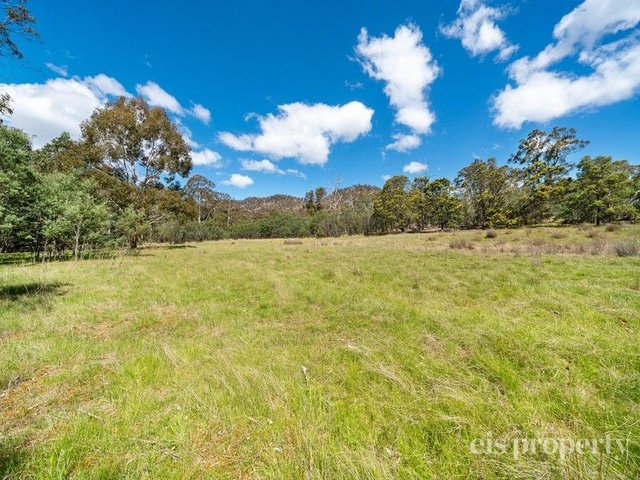 Lot 1/241 Chauncy Vale Road, TAS 7030