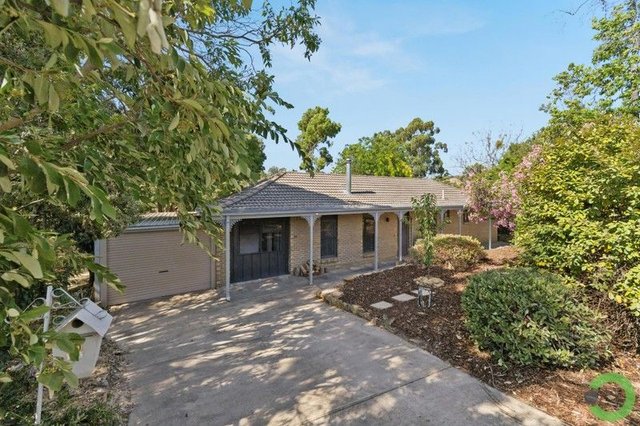 13 Patricia Street, SA 5051