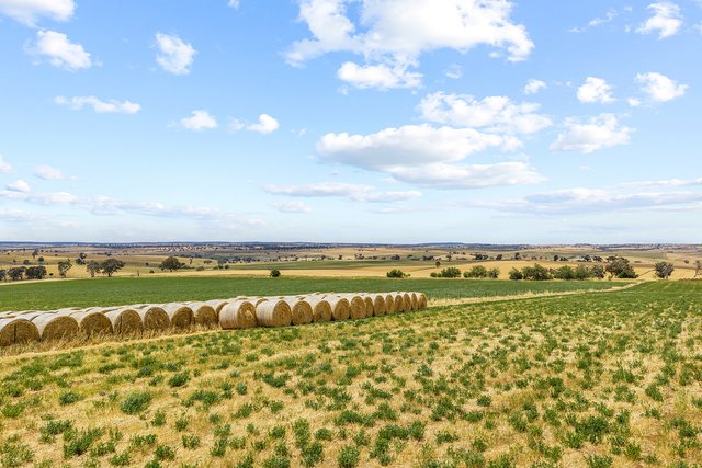 215 Holman Road, NSW 2587