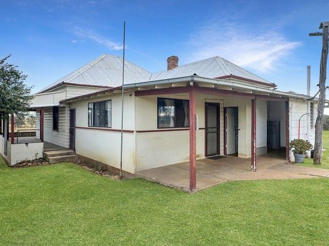 "Available Now" In, NSW 2380