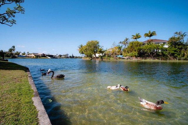 30 Peninsula Court, QLD 4218