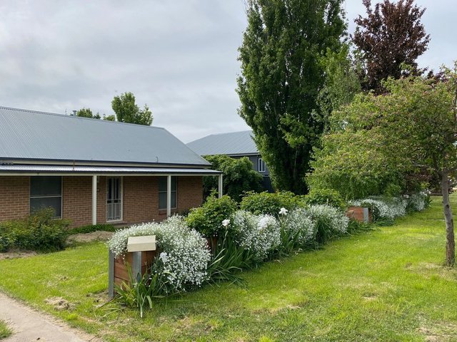 21 Stabback Street, NSW 2798