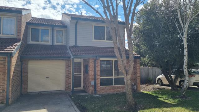 24/3 Everard Street, ACT 2913