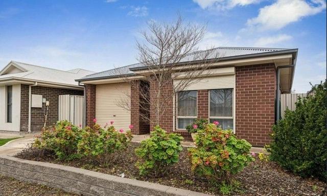19 Pitt Street, SA 5115