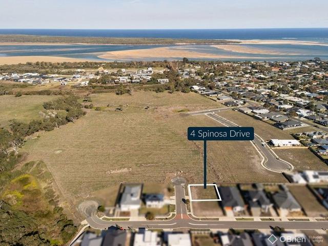 4 Spinosa Drive, VIC 3996